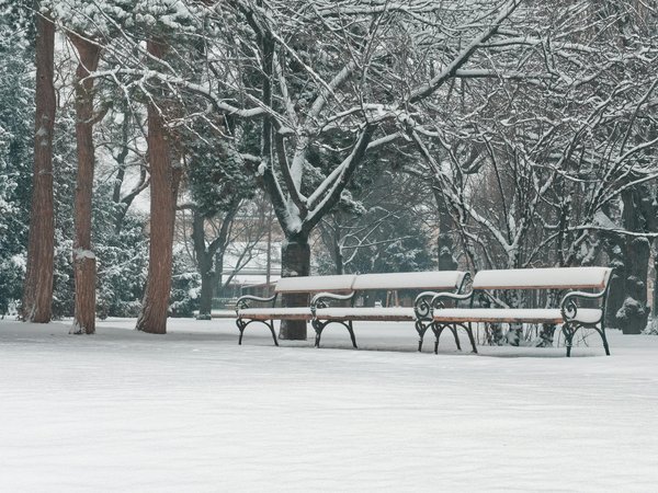 Ces symptômes à surveiller pour déceler une maladie rénale