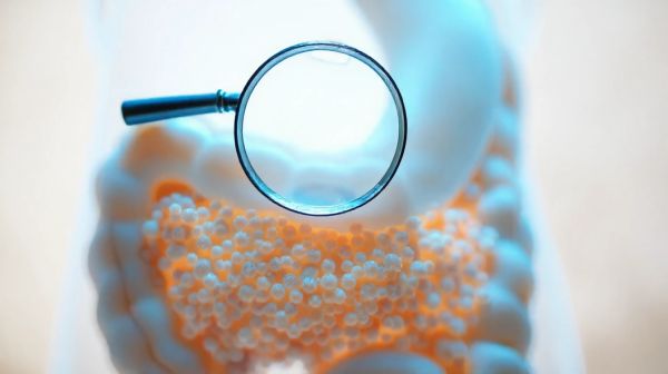 Les clés pour optimiser votre santé grâce au microbiote intestinal